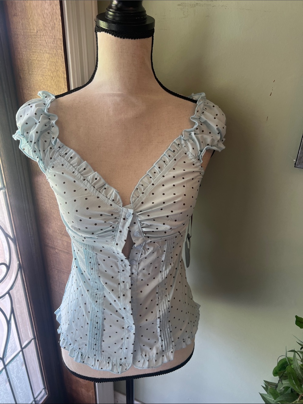 Ruffled Polka Dot Button-Front Blouse - Light Blue
